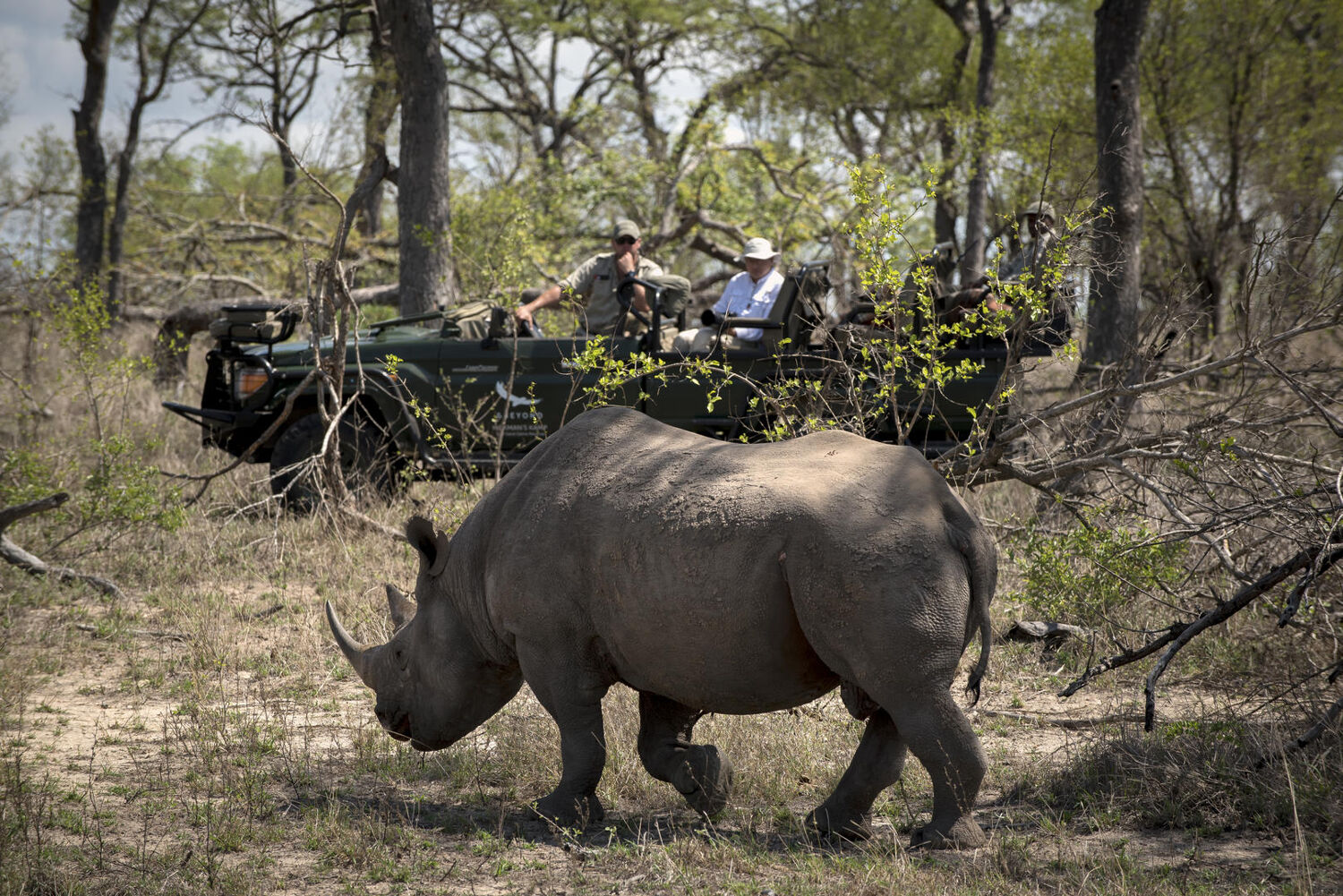 PlaceholderImage1302